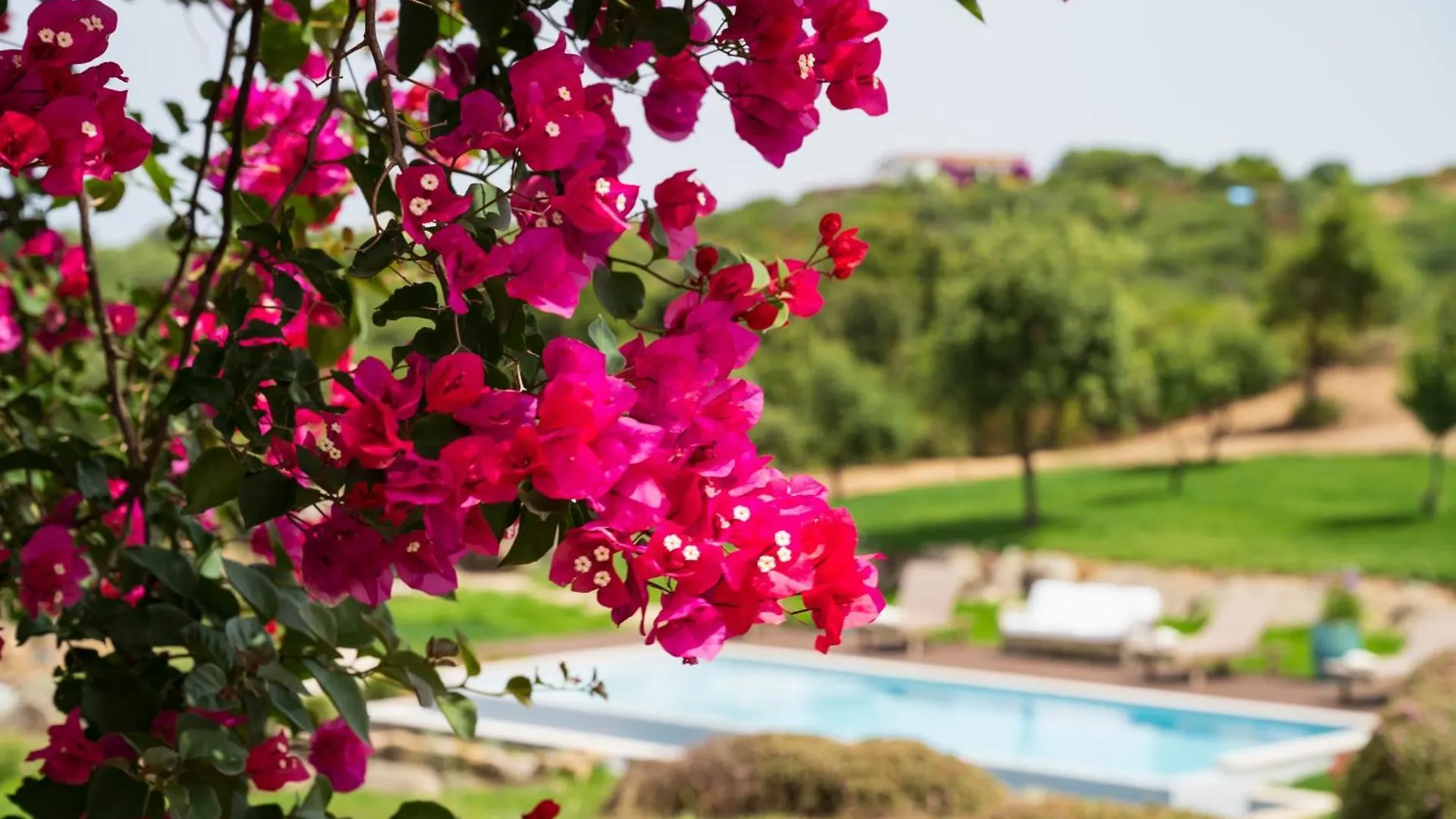 North Sardinia Retreats Stazzo Liccia Barria - Villa Con Piscina Arzachena Italië